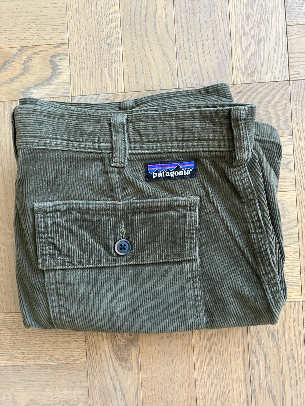 Patagonia Men’s Organic Cotton Cord Utility Shorts 6" Basin Green Size 30